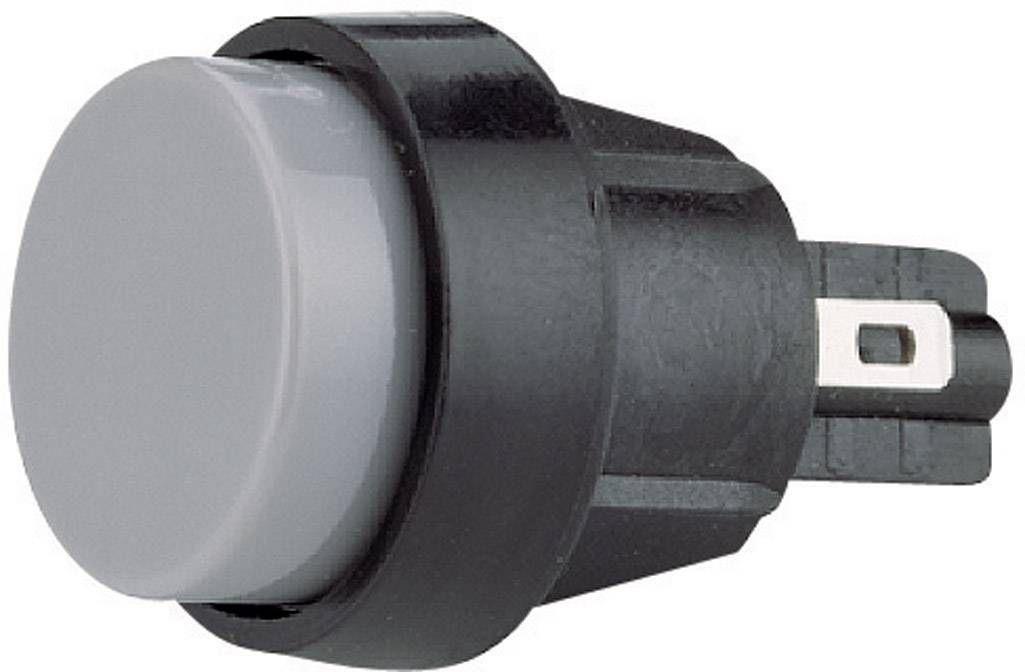 Marquardt 5000.0104 5000.0104 Bouton-poussoir 250 V/AC 4 A 1 x Off/(On) à rappel (Ø) 20 mm IP40 1 pc(s)