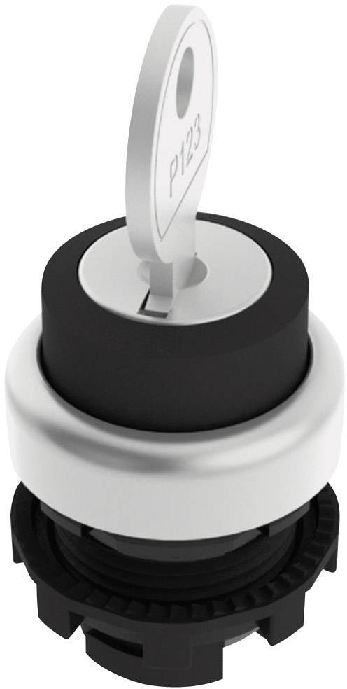 Interrupteur à clé avec une clé ronde en position insérée, portant l'inscription 'P123' sur la poignée.