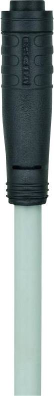 Câble Snap M8 pour capteurs/actionneurs "Automation Line" Escha AL-KP4-2/P00 8052690 Pôle: 4 Contenu: 1 pc(s)