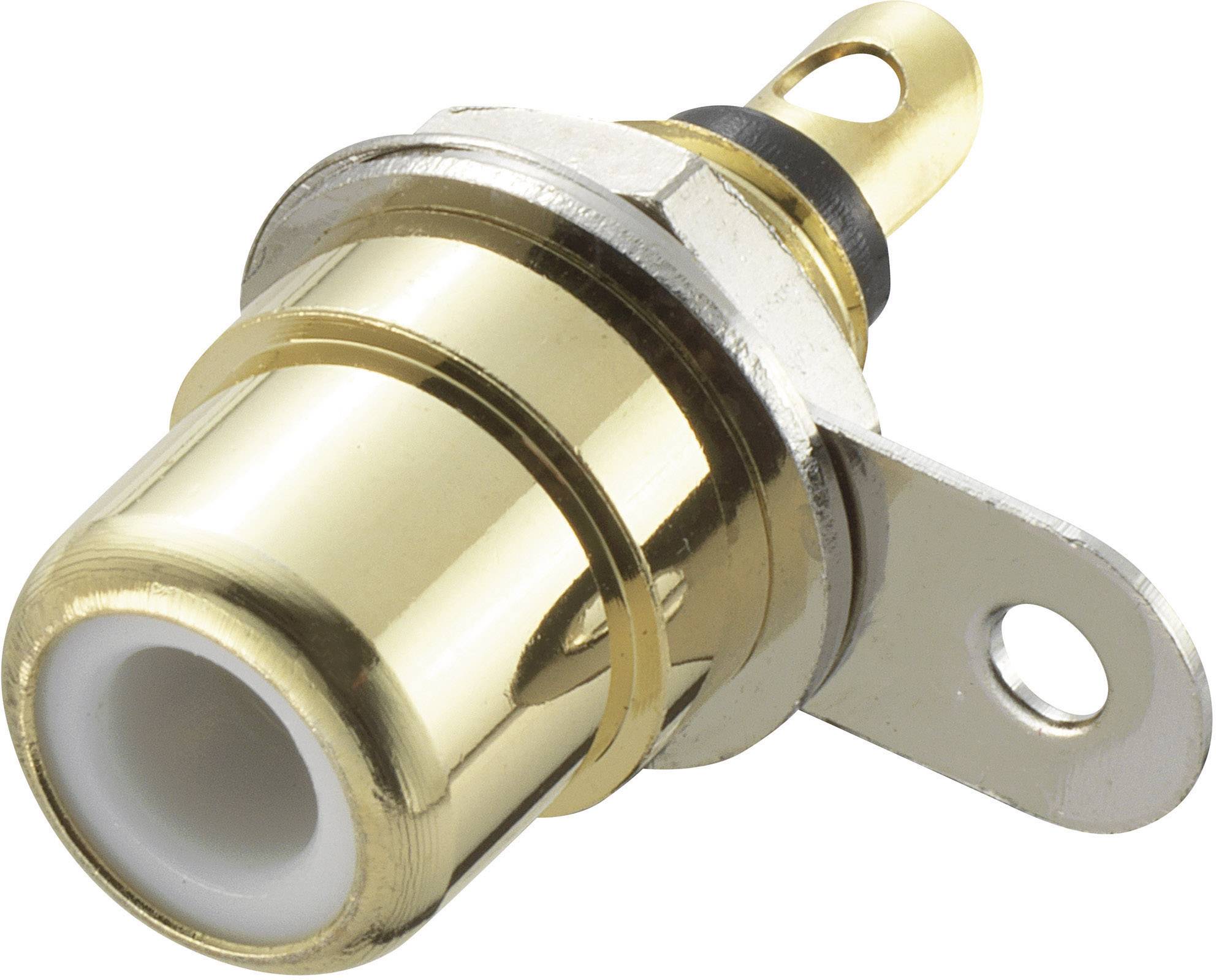 Prise RCA métallique, principalement utilisée pour les connexions audio/vidéo. De couleur dorée, cylindrique, avec une plaque de fixation latérale.