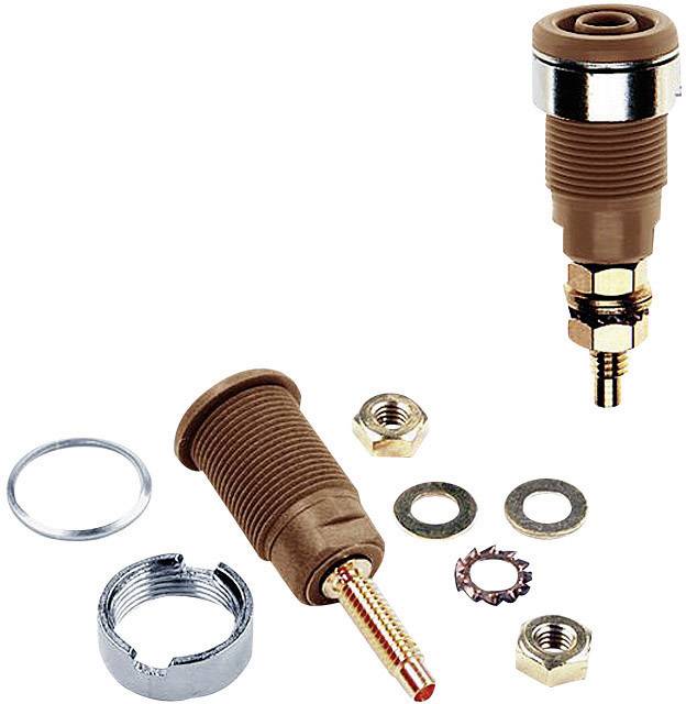 Douille de sécurité embase femelle Ø douilles 4 mm Stäubli SLB4-G 23.3020-27 marron 1 pc(s)