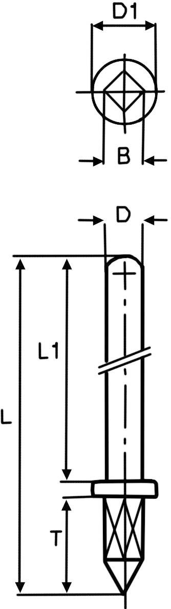 Dessin technique d'un stylo à tête ronde. Dimensions : D1 (tête), B (largeur du corps), L1 (longueur jusqu'au corps), L (longueur totale), T (longueur de la pointe).