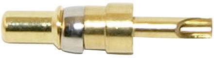 Connecteur coaxial doré avec manchon métallique rond et fente à l'avant, utilisé pour les connexions audio et vidéo.