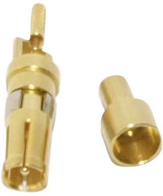 Deux fiches bananes dorées, l'une avec un contact ouvert et l'autre en forme de douille. Elles sont utilisées pour des connexions électriques.