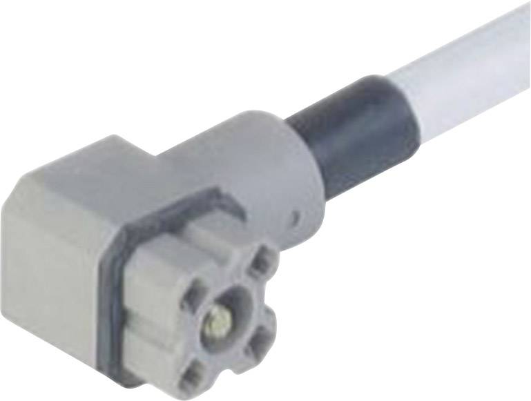 Connecteur pour tension de commande série G Hirschmann G 4 KW 1 F 2M 931 805-602-1 gris Pôle:4 1 pc(s)