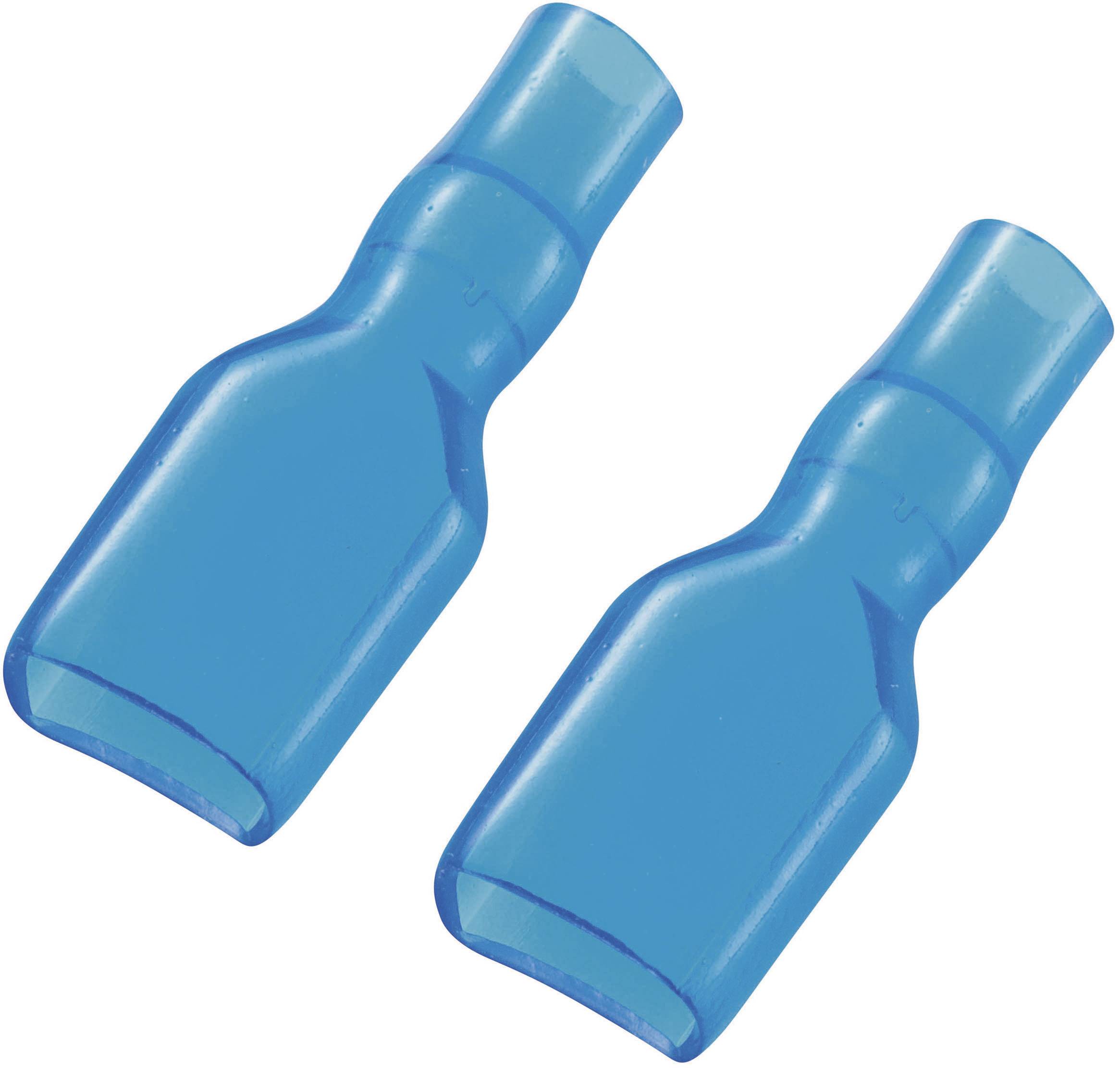 Deux palmes bleues côte à côte, destinées à la nage ou à la plongée.