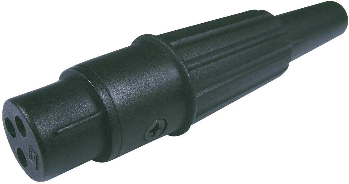 Fiche ronde noire à trois broches, avec une vis sur le côté pour la fixation. Fréquemment utilisée pour les connexions électriques.