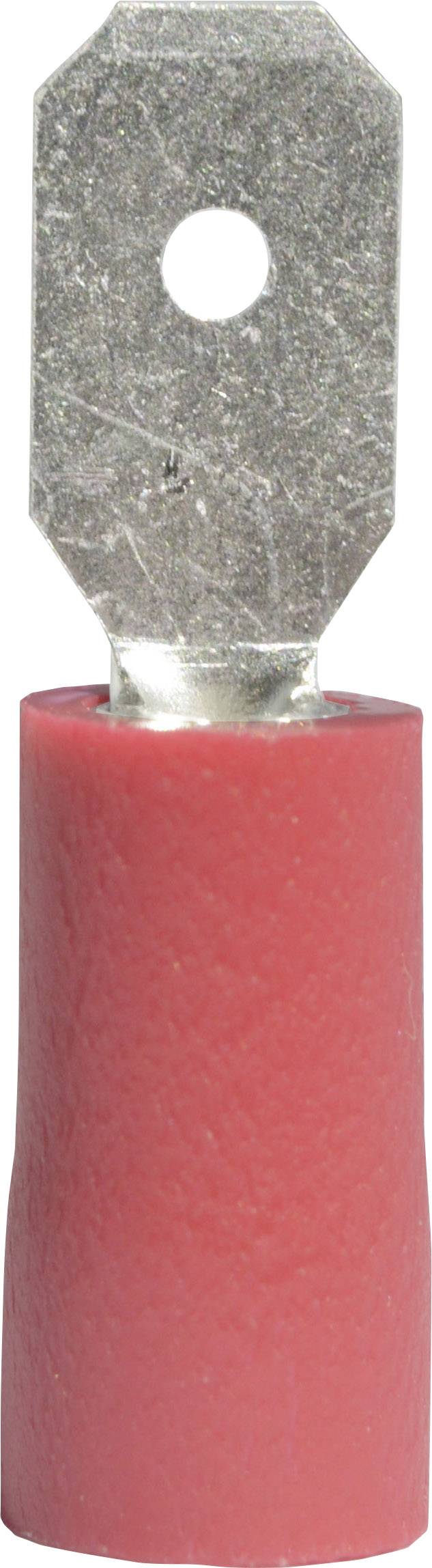 Cosse à languette mâle 4.8 x 0.5 mm Vogt Verbindungstechnik 392805 180 ° partiellement isolé rouge