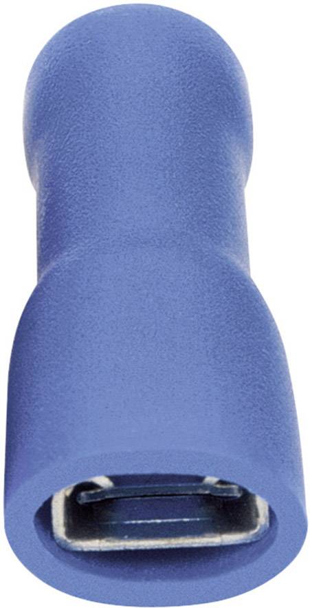 Une fiche de câble bleue isolée, de forme cylindrique, présentant l'ouverture de connexion métallique. Utilisée pour connecter des câbles.
