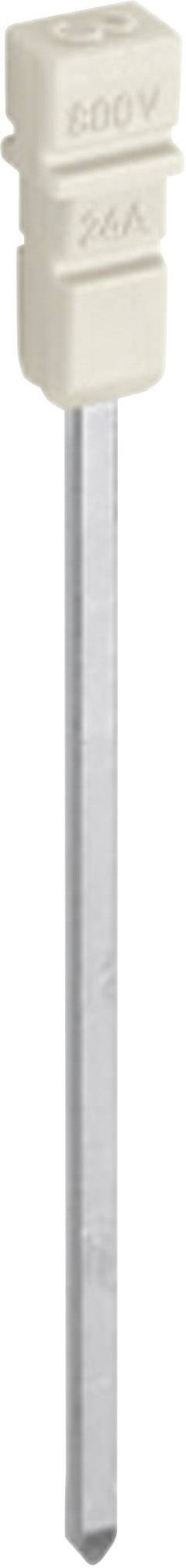 Petit fusible blanc avec l'inscription '300V' et '2A', monté sur une tige métallique.