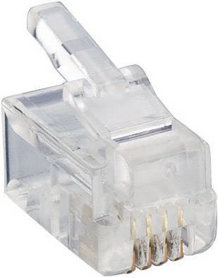 Fiche modulaire mâle Lumberg P 126 RJ10 mâle, droit RJ10 Pôle: 4p4c transparent