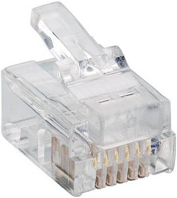 Fiche modulaire mâle Lumberg P 128 RJ12 mâle, droit RJ12 Pôle: 6p6c transparent