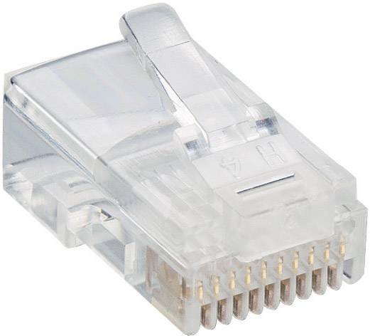 Fiche modulaire mâle Lumberg P 303 RJ50 mâle, droit RJ48 transparent