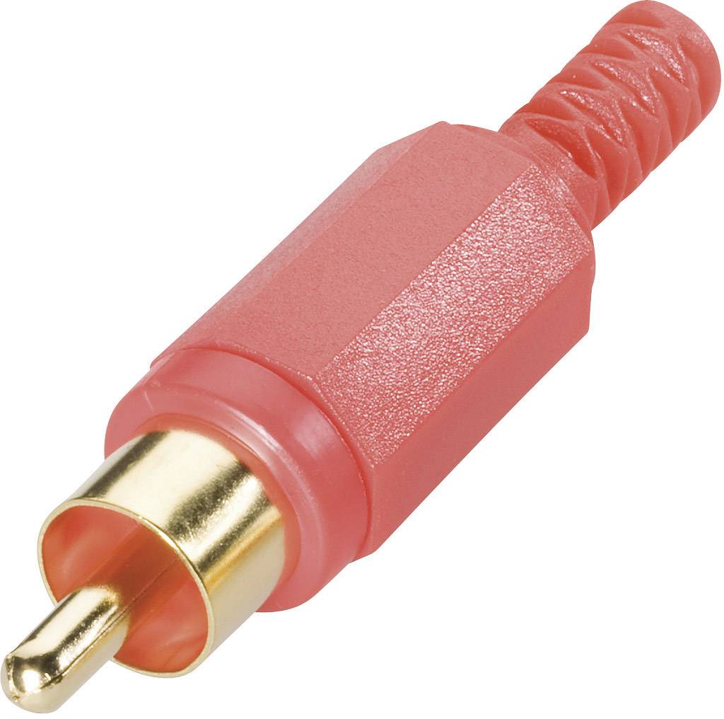 Connecteur RCA rouge avec embout doré, couramment utilisé pour la transmission audio et vidéo.