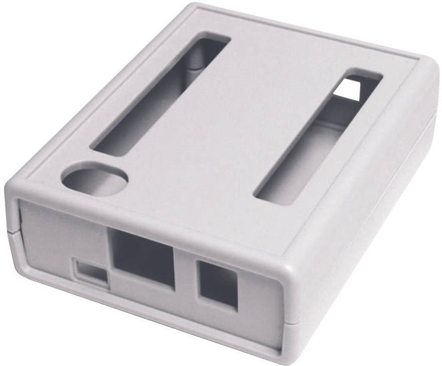 Hammond Electronics 1593HAMDOGGY gris