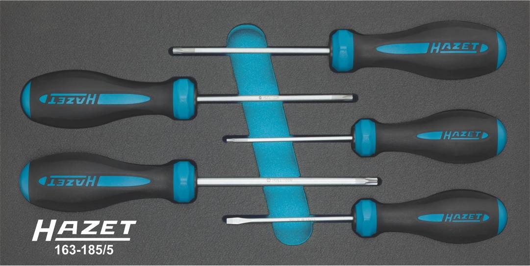 Hazet pour l'atelier Jeu de tournevis 5 pièces TORX® intérieur