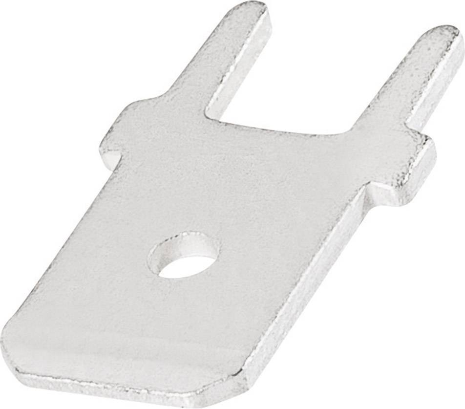 Tige de contact métallique avec deux broches parallèles et allongées, et un trou au centre de l'extrémité plate, probablement destinée à des applications électriques.