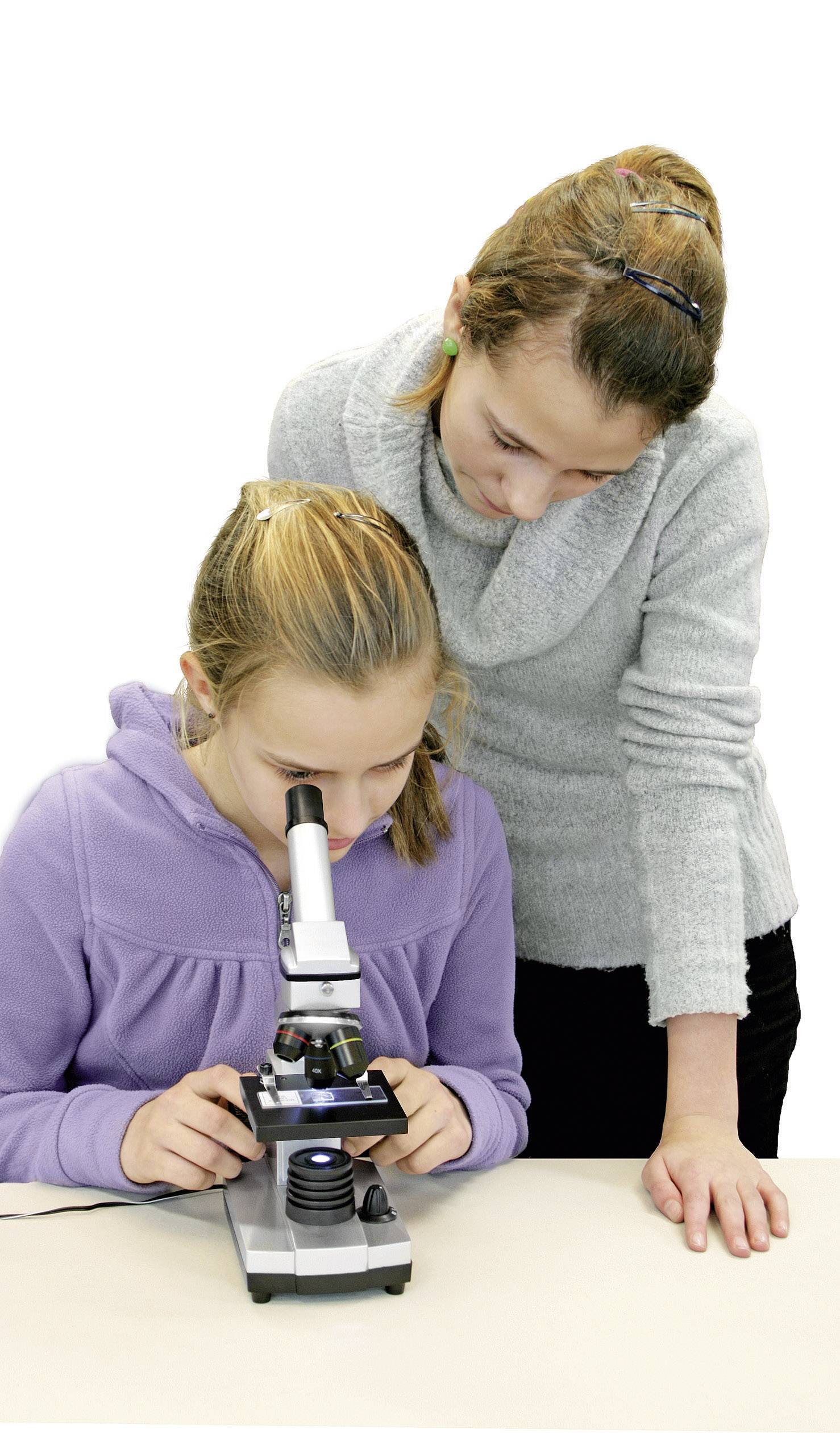 Deux jeunes filles observent un objet à travers un microscope. L'une regarde à travers l'objectif, tandis que l'autre jette un coup d'œil par-dessus son épaule.