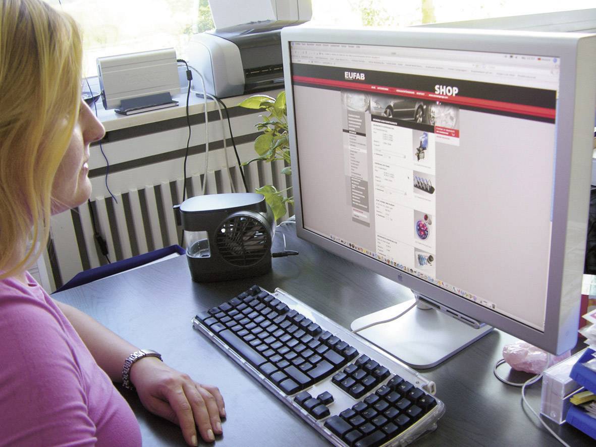 Mini-climatiseur Eufab 21005 12 V, 230 V