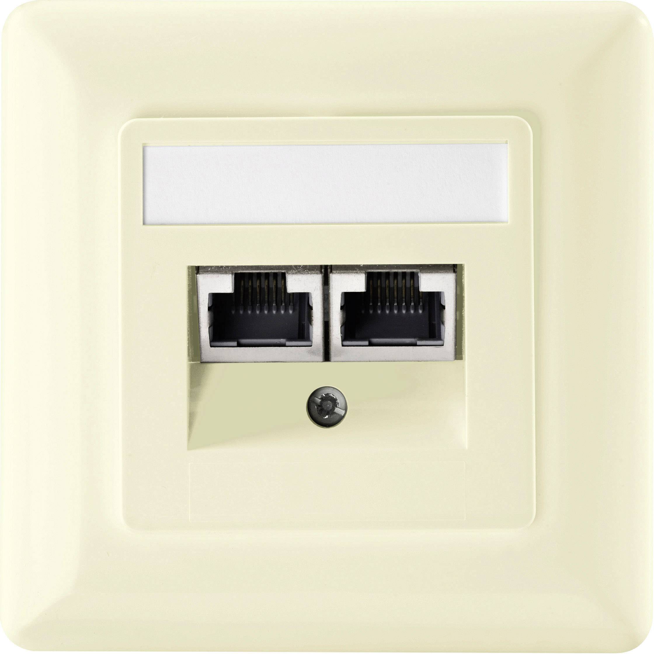 Prise réseau encastré insert avec plaque centrale et châssis CAT 5e 2 ports Setec 604680 blanc pur