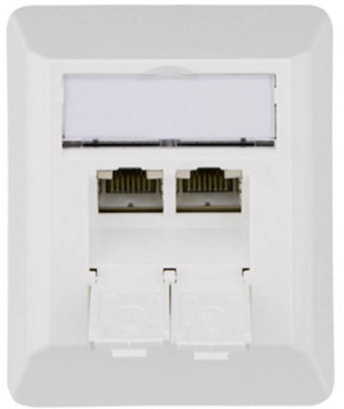 Prise réseau montage apparent (en saillie) CAT 6a 2 ports Telegärtner 100023002 blanc-alpin