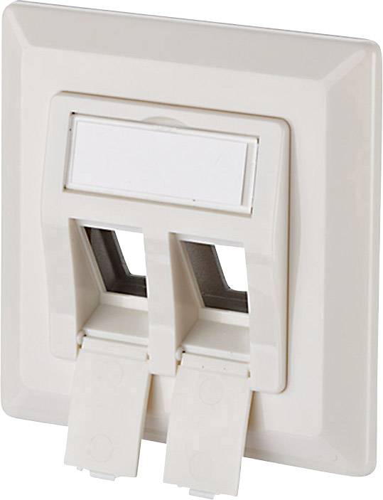 Prise réseau encastré insert avec plaque centrale et châssis 2 ports Metz Connect 1309151002KE blanc